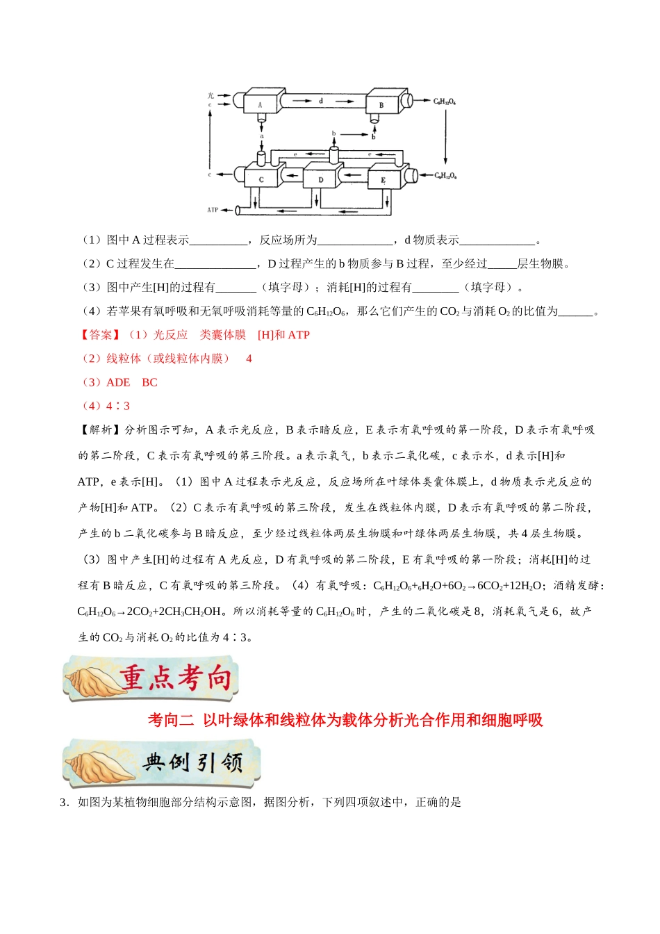 2025年考点一遍过高考生物-考点20光合作用和细胞呼吸的综合.doc_第3页