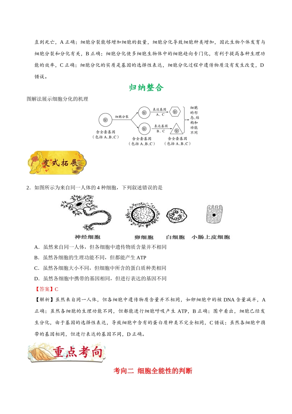 2025年考点一遍过高考生物-考点23细胞的分化和细胞的全能性.doc_第2页