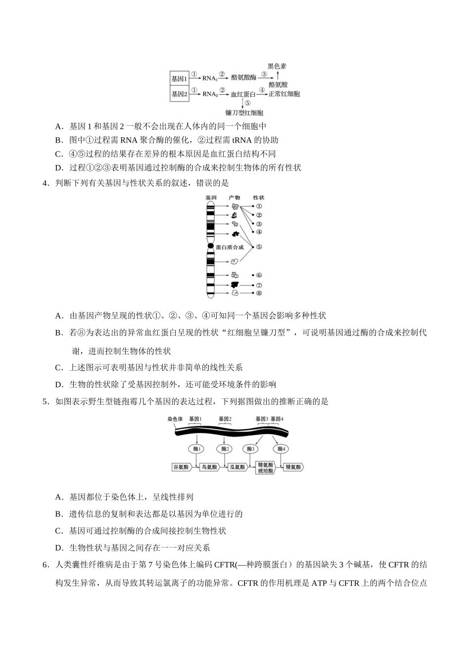 2025年考点一遍过高考生物-考点32基因对性状的控制.doc_第3页