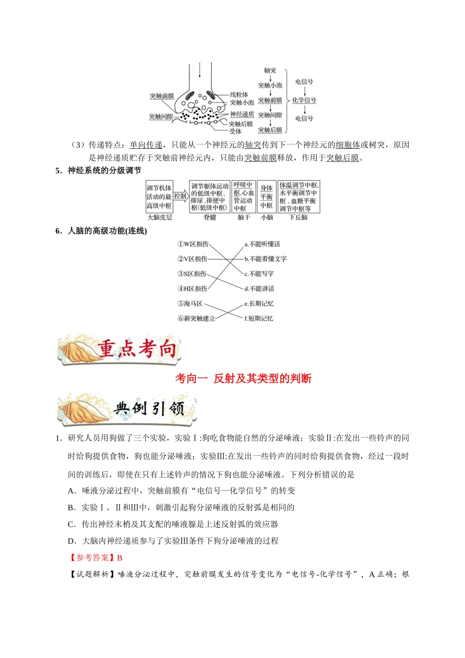 2025年考点一遍过高考生物-考点48通过神经系统的调节.doc_第2页