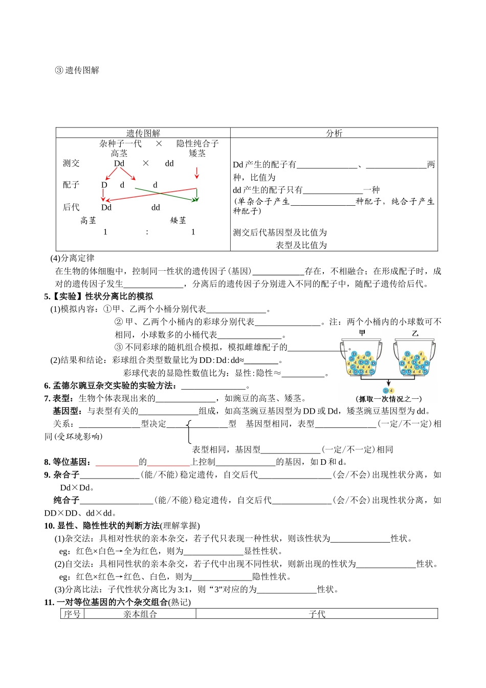 第1章遗传因子的发现-【必背知识】高一生物章节知识清单（人教版必修2）（填空版）.docx_第2页