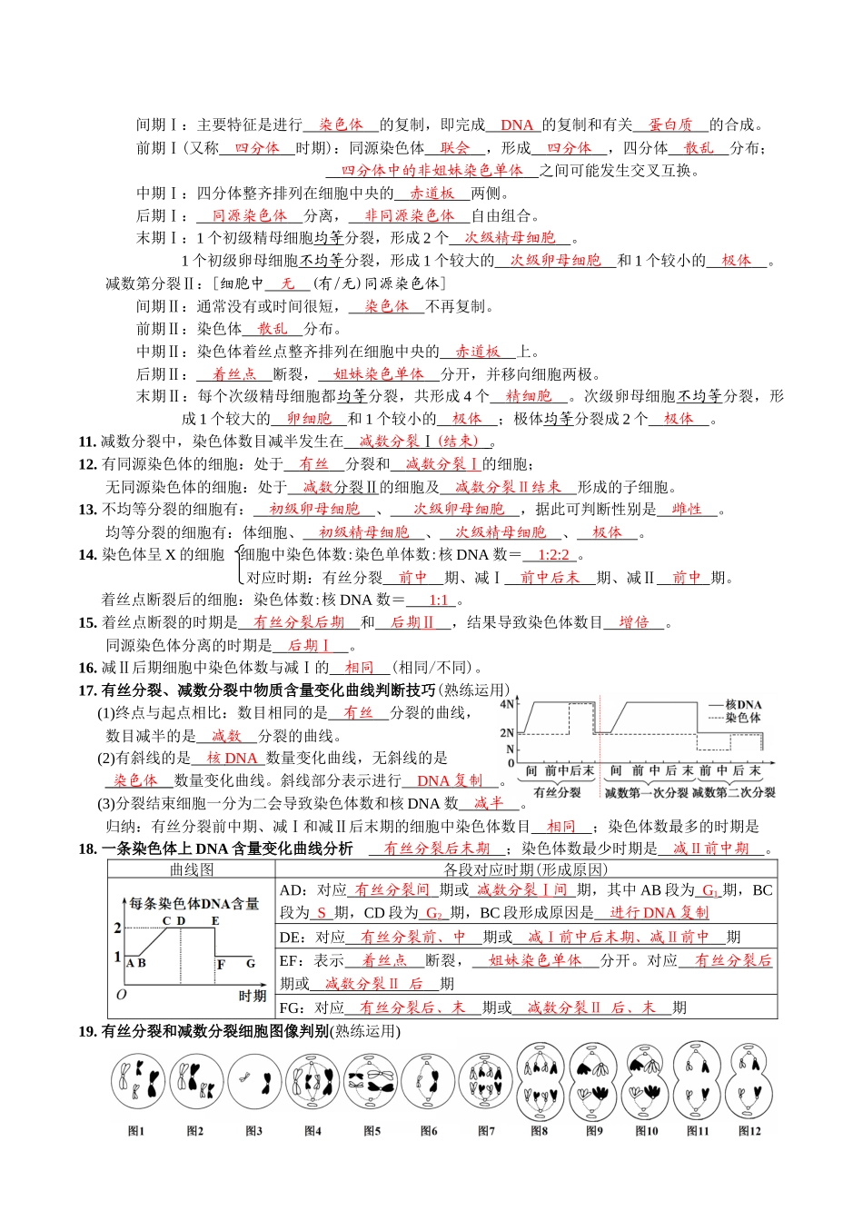 第2章基因和染色体的关系-【必背知识】高一生物章节知识清单（人教版必修2）（背诵版）.docx_第2页