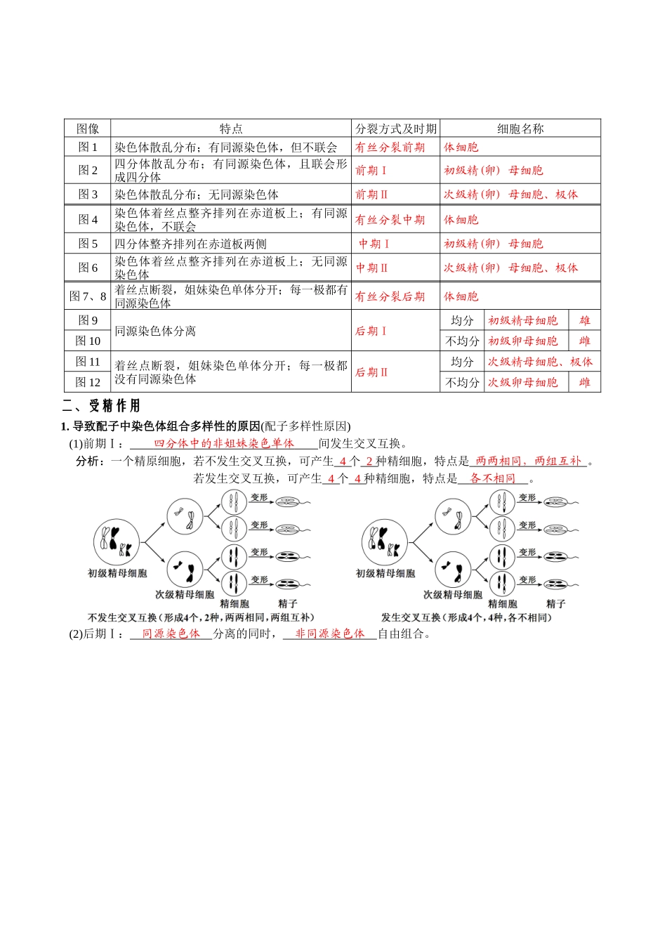 第2章基因和染色体的关系-【必背知识】高一生物章节知识清单（人教版必修2）（背诵版）.docx_第3页