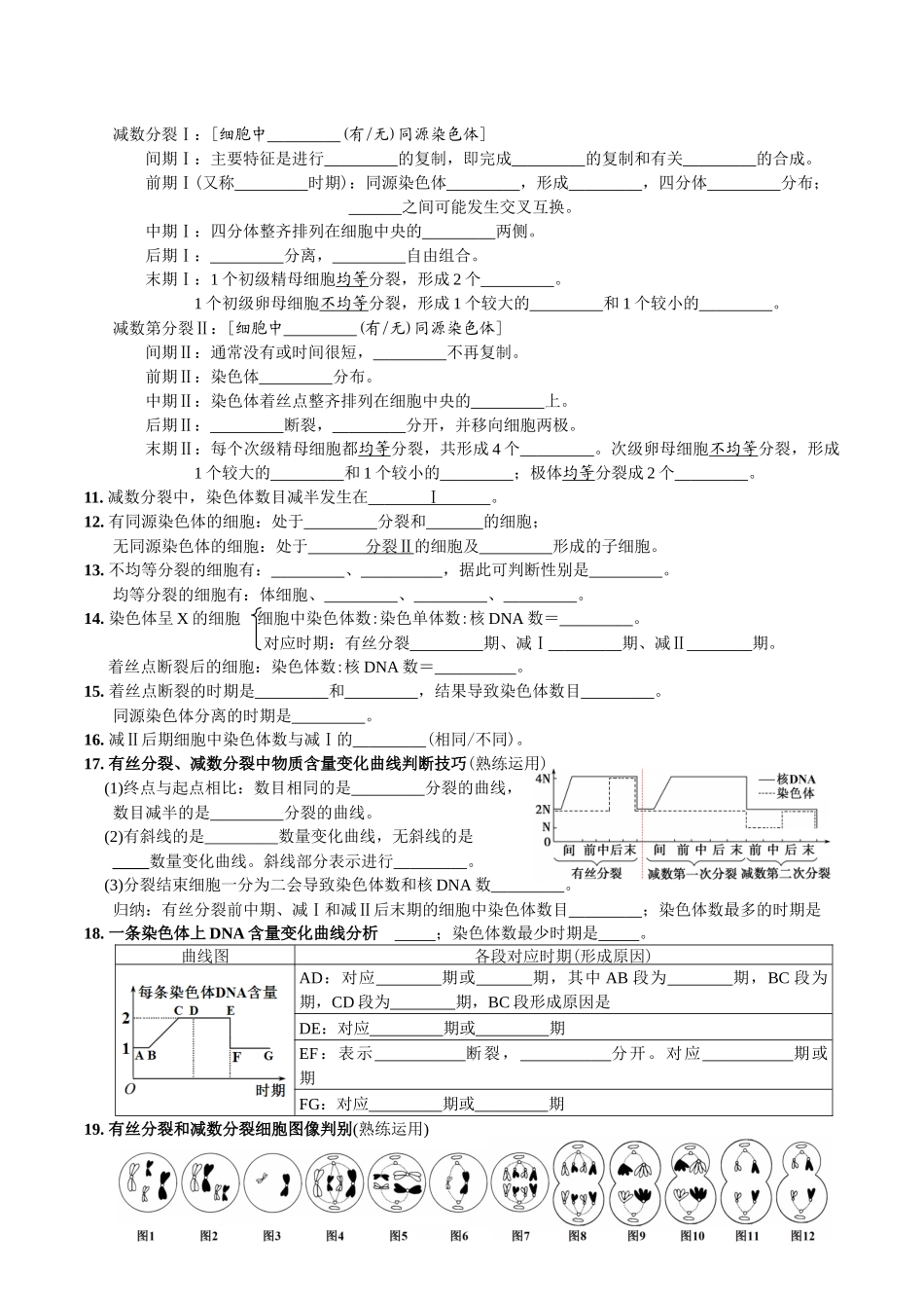 第2章基因和染色体的关系-【必背知识】高一生物章节知识清单（人教版必修2）（填空版）.docx_第2页