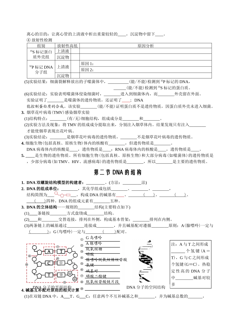 第3章基因的本质-【必背知识】高一生物章节知识清单（人教版必修2）（填空版）.docx_第2页