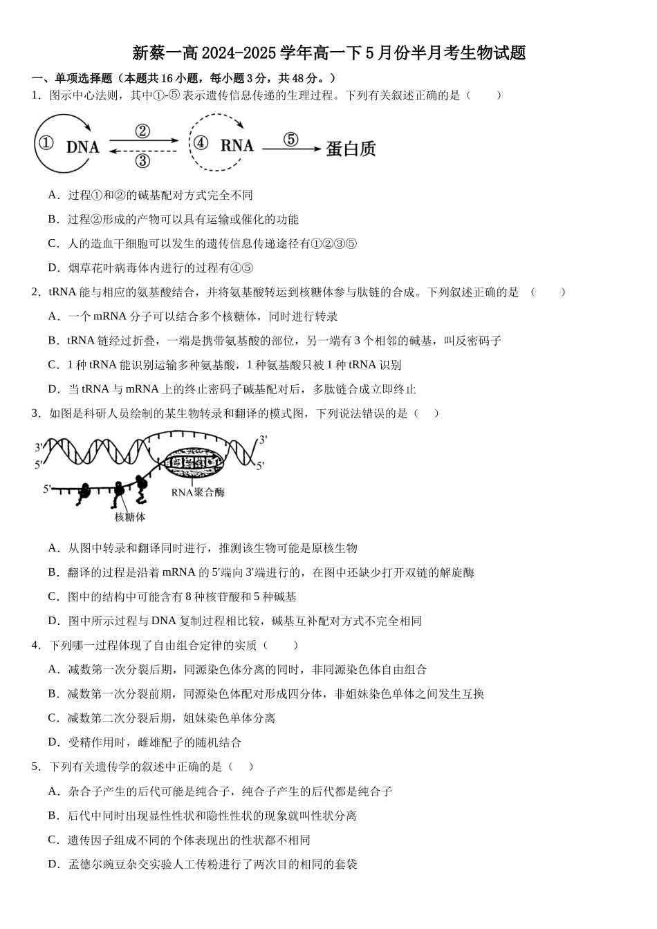 河南省驻马店市新蔡县第一高级中学2024-2025学年高一下学期5月半月考生物试卷（有答案）.docx_第1页