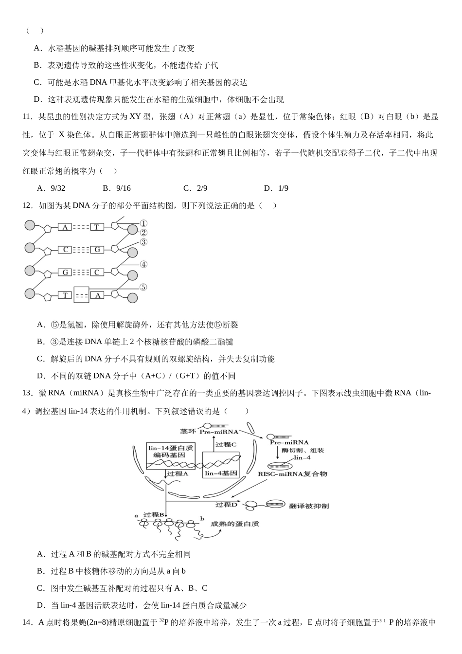 河南省驻马店市新蔡县第一高级中学2024-2025学年高一下学期5月半月考生物试卷（有答案）.docx_第3页