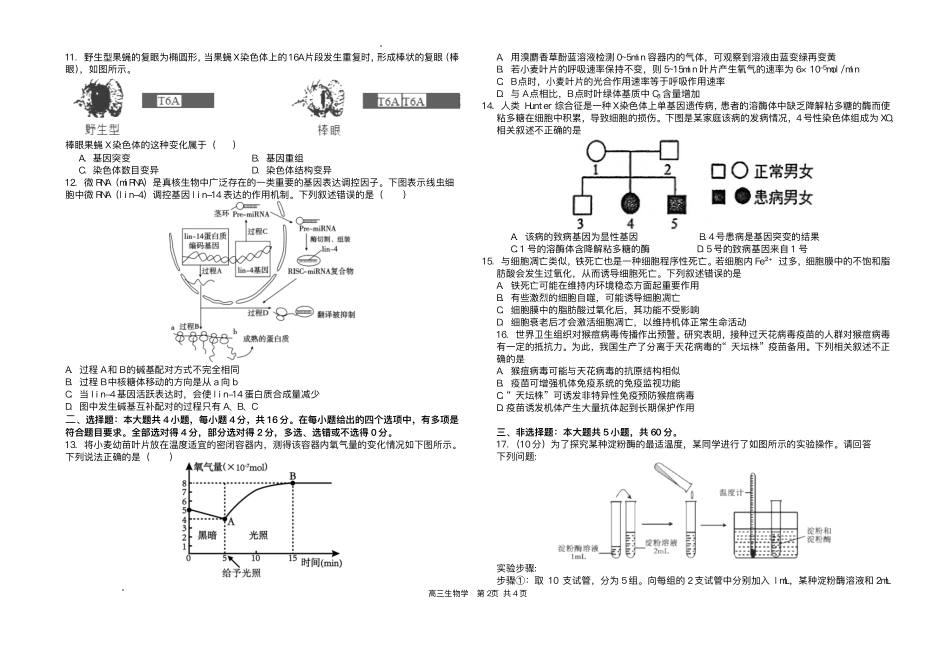 2025届湖南省长沙市雅礼中学高三下学期冲刺模拟训练生物试题（含答案）.pdf_第2页