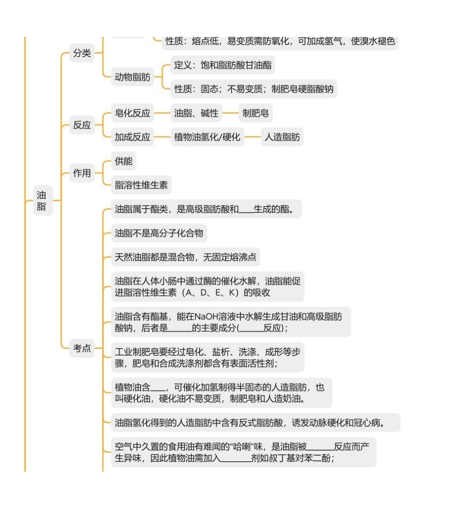 2025年高考化学-【化学与生活总结】化学与健康.pdf_第3页