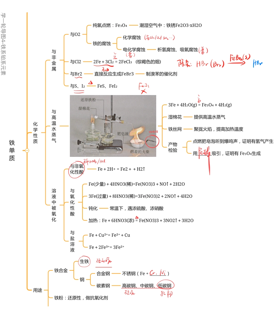 2025年高考化学-【元素化合物总结】铁及其化合物.pdf_第1页