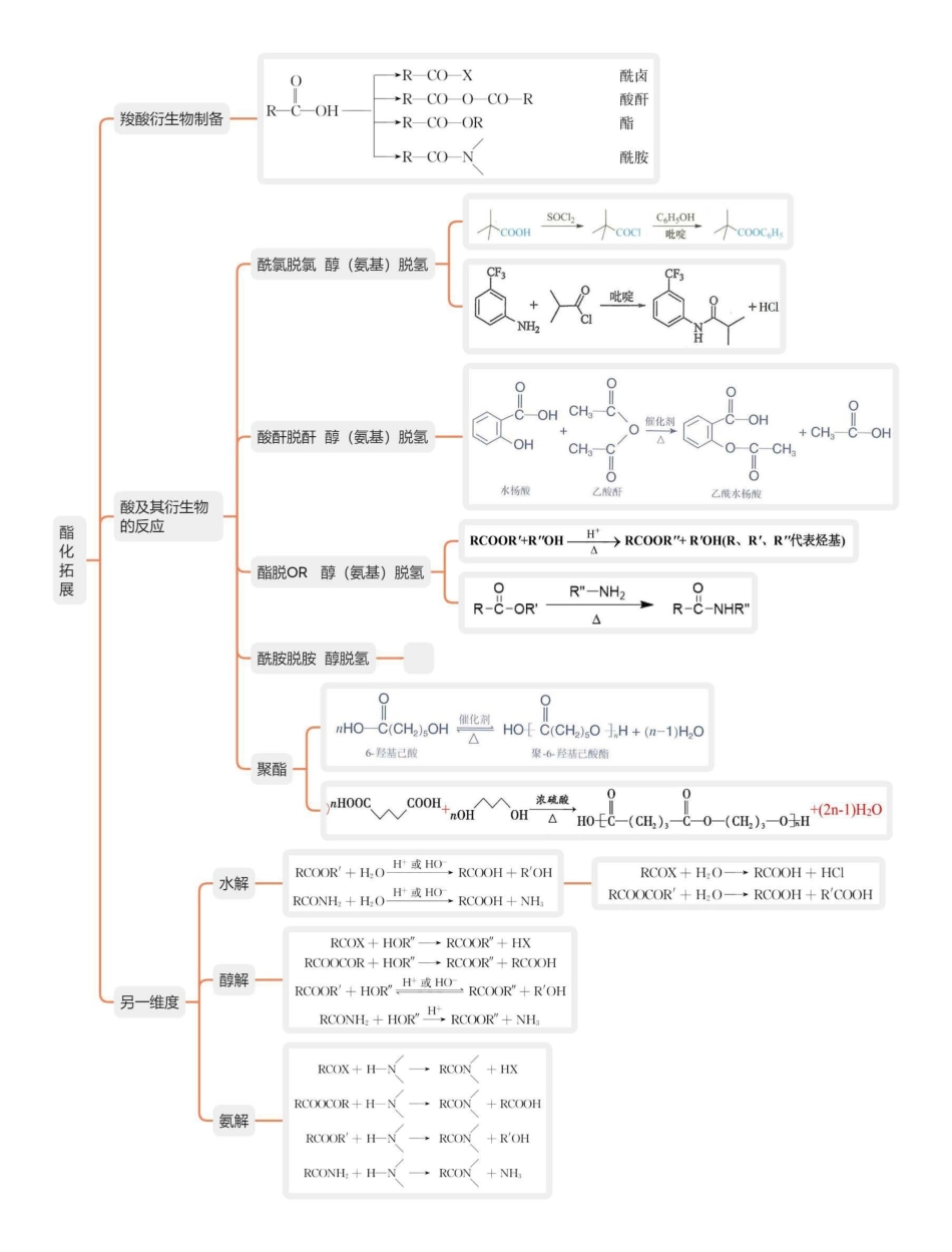 2025年高考化学-十大有机陌生反应（2024版）.pdf_第2页