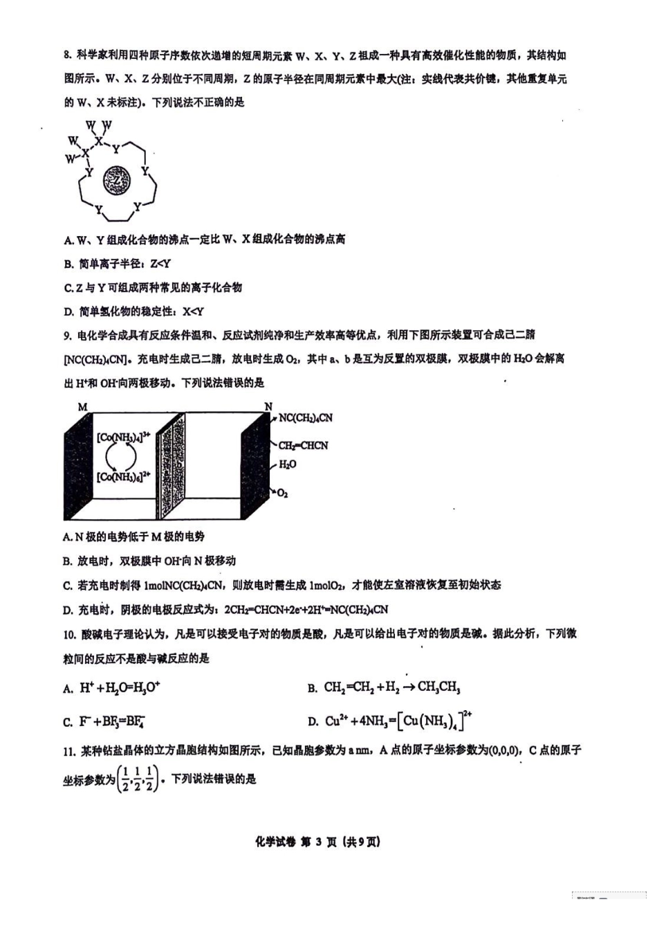 广西南宁市第二中学2025届高三上学期11月月考化学试题.pdf_第3页