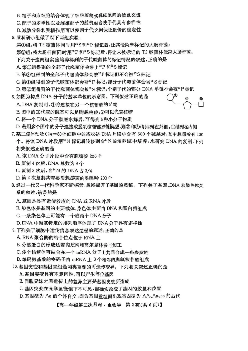 河北省沧州市四县联考2024-2025学年高一下学期6月月考生物试卷.pdf_第2页