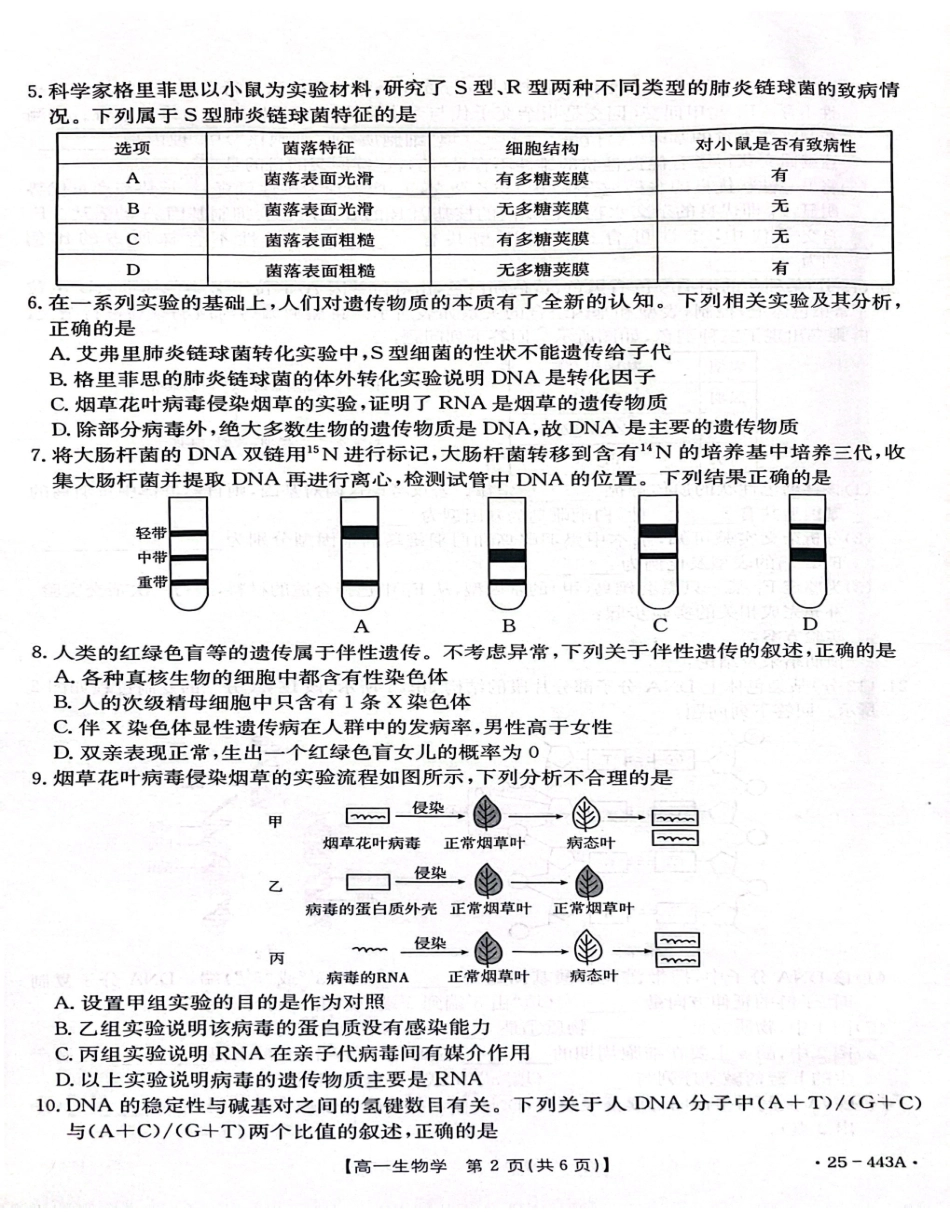 河北省邢台市质检联盟2024-2025学年高一下学期期中生物试卷（含解析）.pdf_第2页