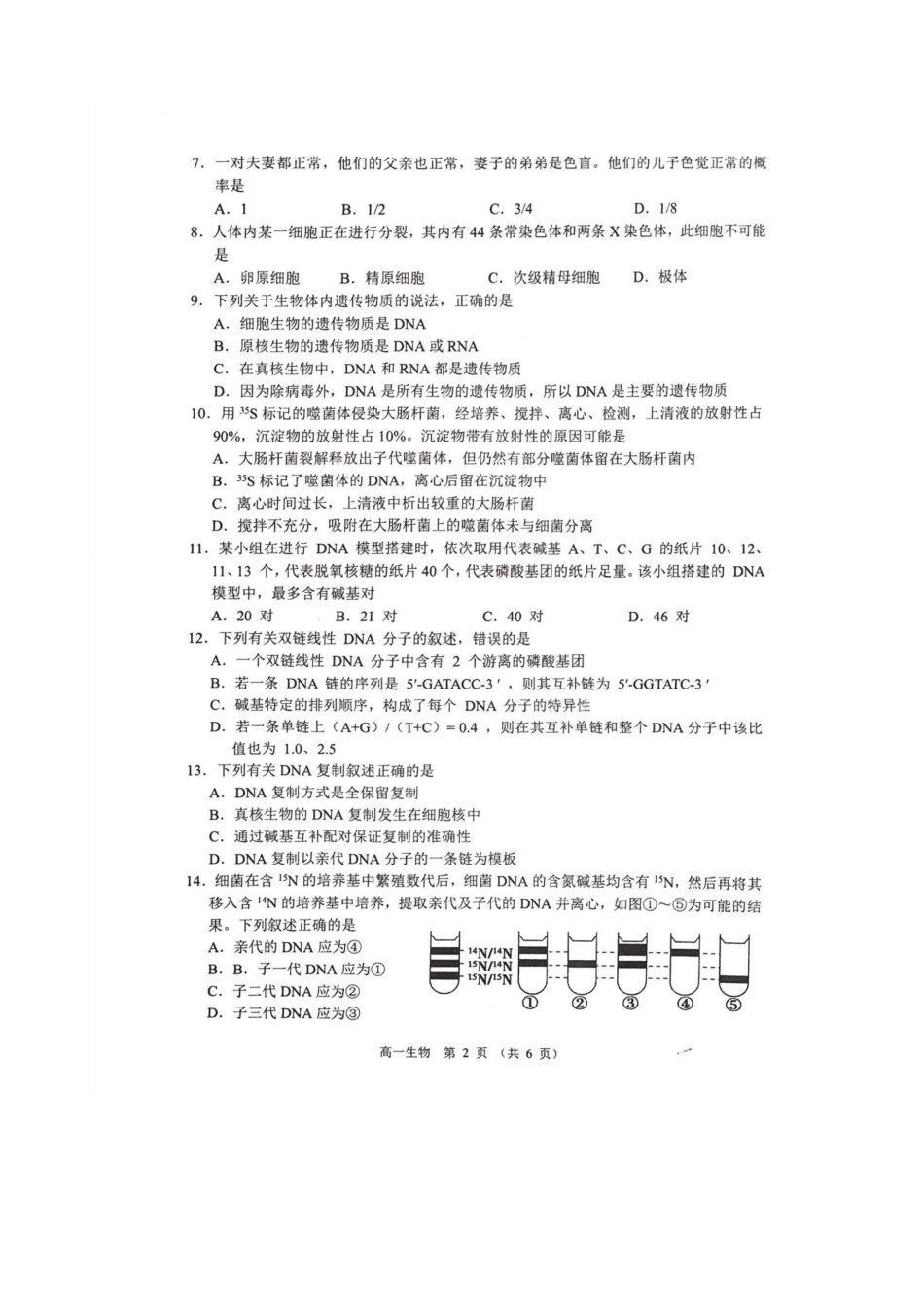 江苏省宿迁市沭阳县2024-2025学年高一下学期期中生物.pdf_第2页