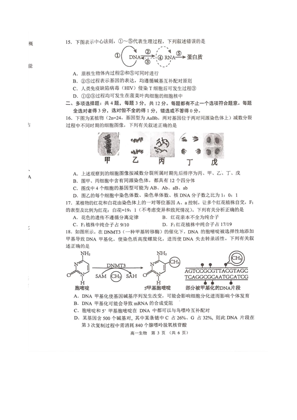 江苏省宿迁市沭阳县2024-2025学年高一下学期期中生物.pdf_第3页