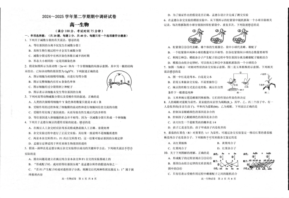 江苏省宿迁市泗阳县2024-2025学年高一下学期期中考试生物.pdf_第1页