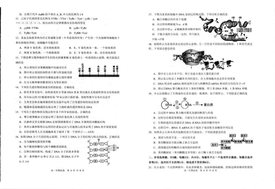 江苏省宿迁市泗阳县2024-2025学年高一下学期期中考试生物.pdf_第2页