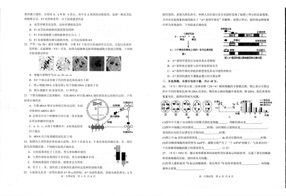 江苏省宿迁市泗阳县2024-2025学年高一下学期期中考试生物.pdf_第3页