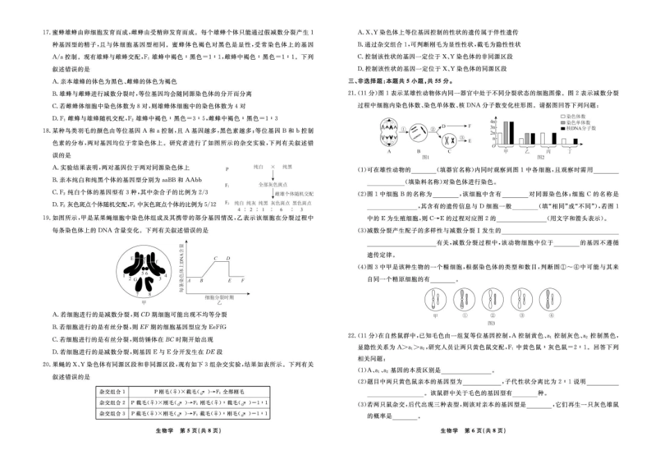 辽宁省县域重点高中2024-2025学年高一下学期期中生物试卷（有解析）.pdf_第3页