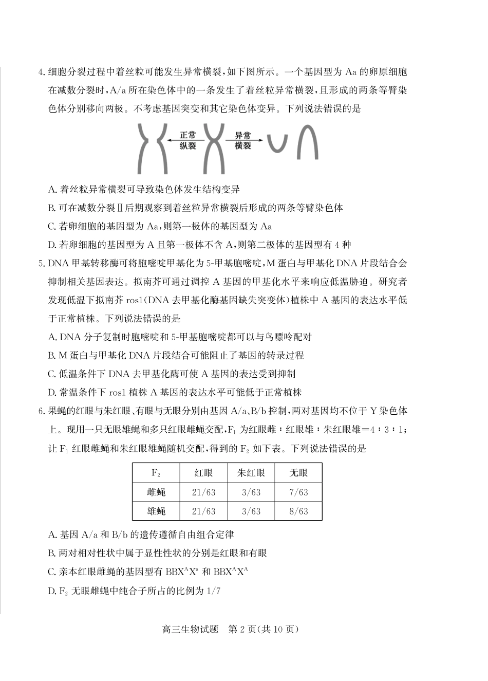 山东省（烟台市、德州市）2025届高三高考适应性测试生物.pdf_第2页