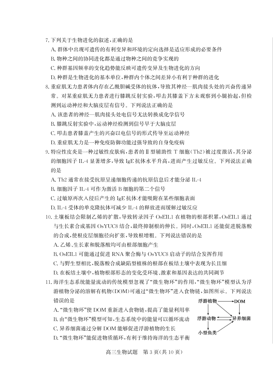 山东省（烟台市、德州市）2025届高三高考适应性测试生物.pdf_第3页