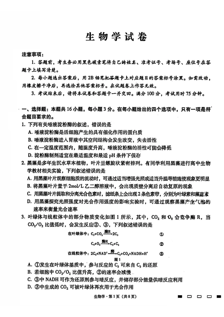 生物试卷（月考十）+答案【百强校】【云南卷】云南省云南师大附中2025届高考适应性月考卷（十）（5.27-5.29）.pdf_第1页