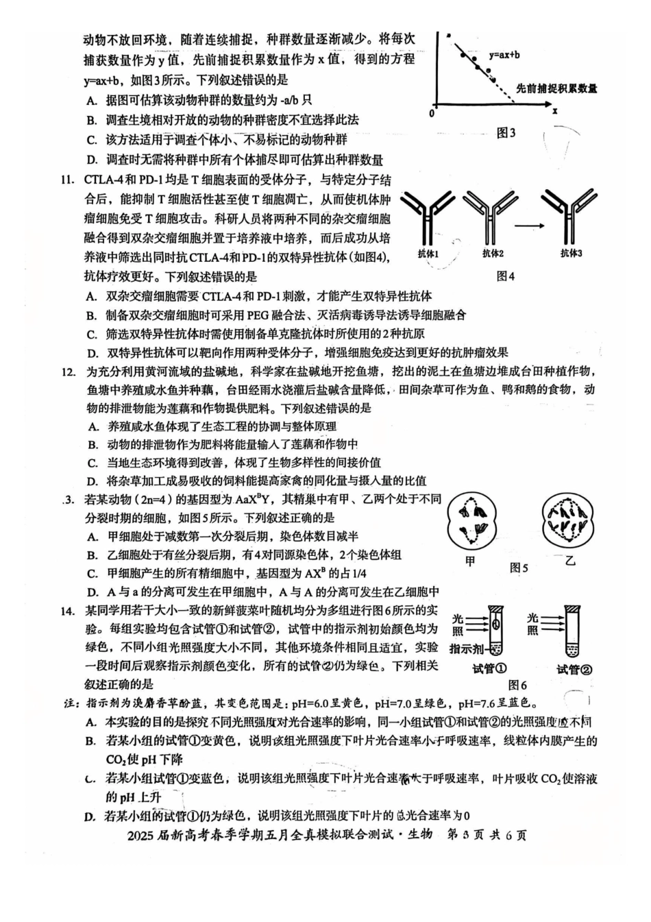 生物试卷【广西卷】广西壮族自治区邕衡教育名校联盟2025届春季学期高三5月全真模拟联合测试（5.7-5.9）.pdf_第3页