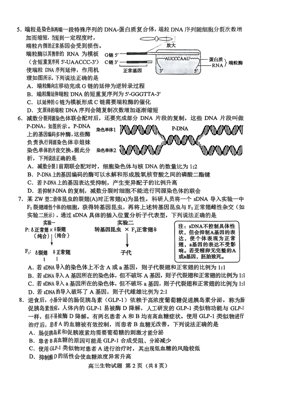 生物试卷【山东卷】山东省菏泽市2025年高三二模考试（菏泽二模）（5.6-5.8）.pdf_第2页