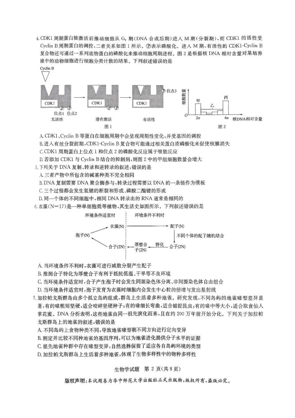 生物试卷+答案【补齐重发】【华大预测卷】华大新高考联盟2025年5月名校高考预测卷(5.19-5.20).pdf_第2页