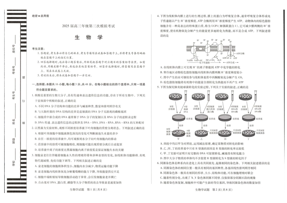 生物试卷+答案【河南卷】河南省安阳市、新乡市天一大联考2025届高三年级第三次模拟考试（安阳新乡三模）（5.6-5.8）.pdf_第1页