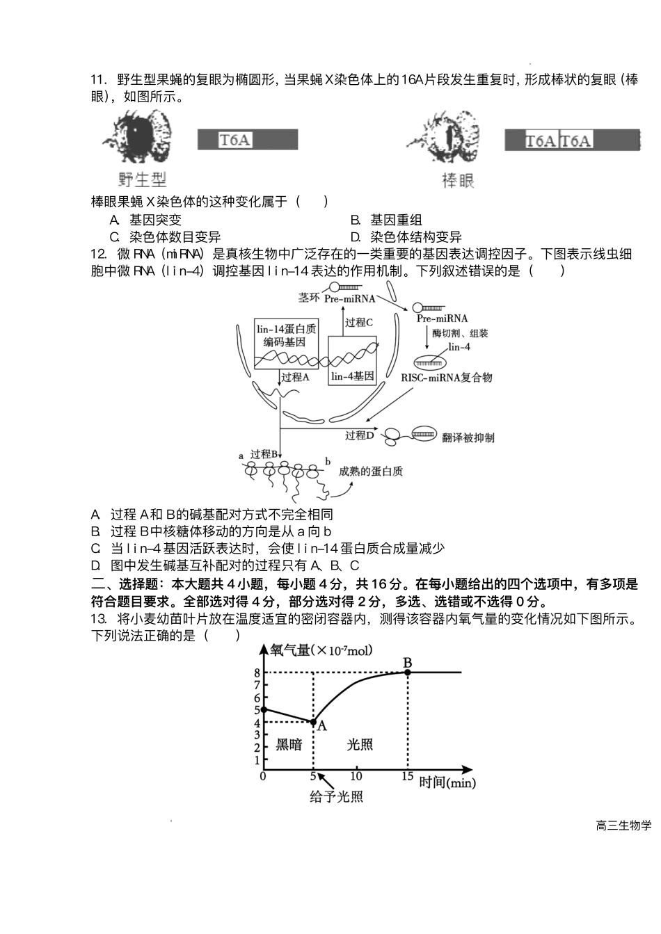 生物试卷+答案【湖南卷】湖南省长沙市雅礼中学2025届高三年级冲刺训练试题（5.15-5.16）.pdf_第3页