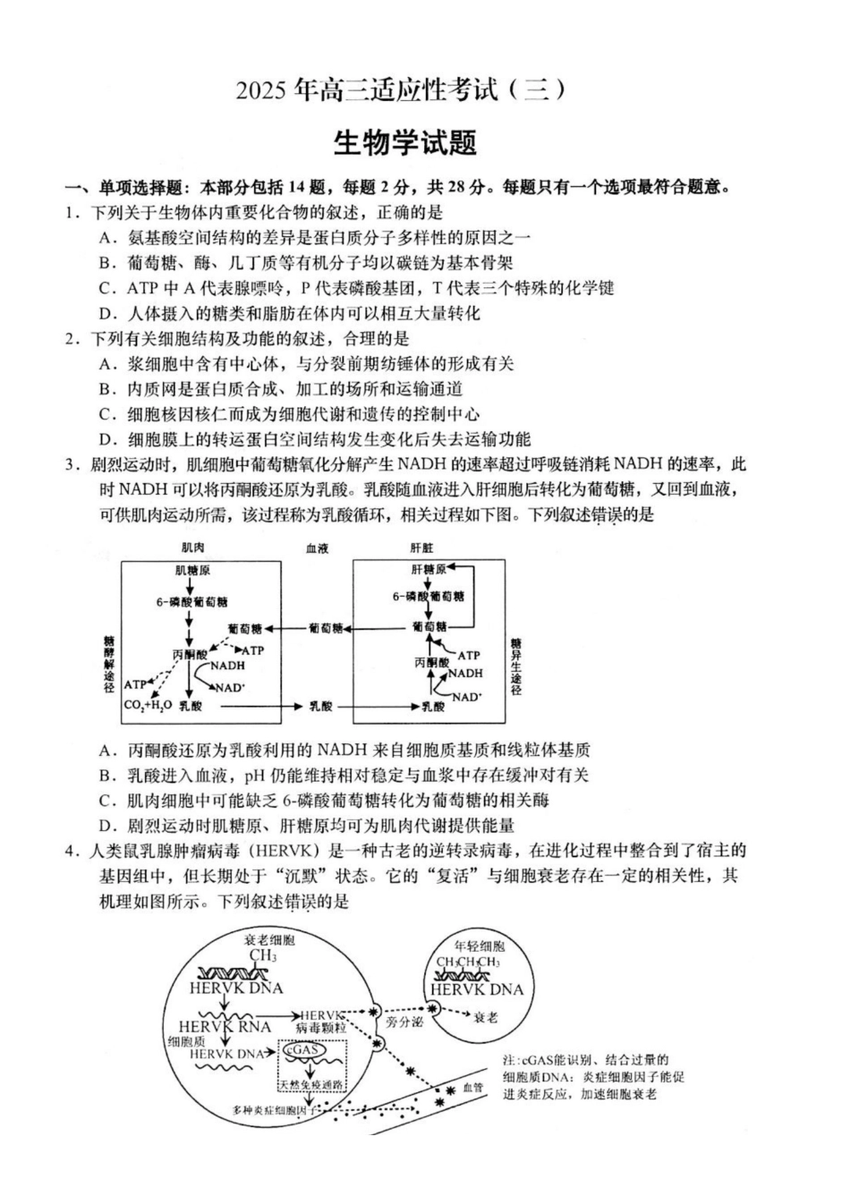 生物试卷+答案【江苏卷】江苏省南通市如皋市2025届高三下学期高考适应性考试（三）（如皋3.5模）（5.20-5.22）.pdf_第1页