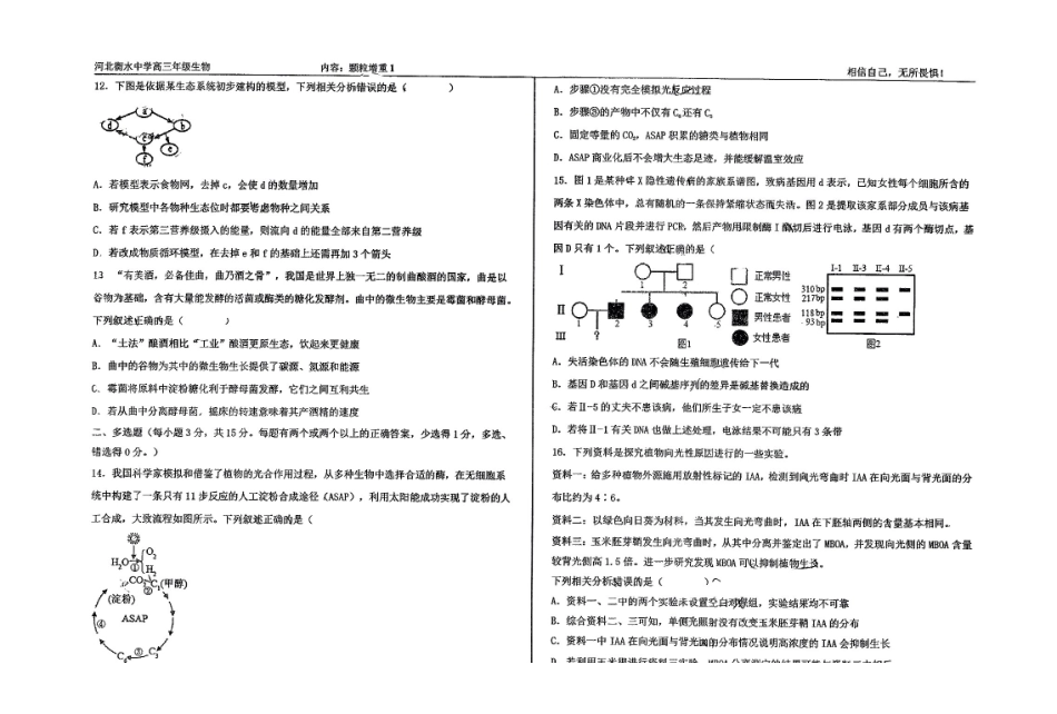 生物四轮冲刺终极押题卷（4套）【中国第二高中】【河北卷】河北省衡水中学2025届高三6月押题密卷暨自主复习衡中密卷（5.29-6.6）.pdf_第3页