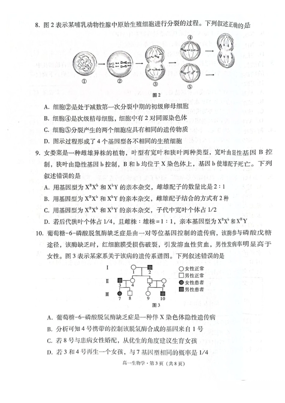 云南省保山市2024-2025学年高一下学期4月期中考试生物含解析.pdf_第3页