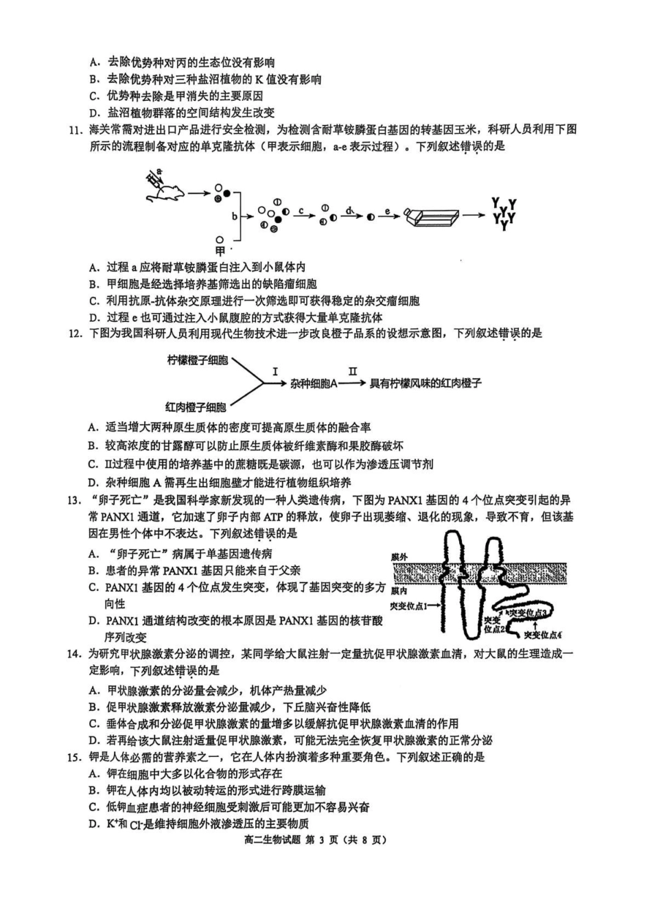 浙江省91联盟2024-2025学年高二下学期4月期中考试生物含答案.pdf_第3页