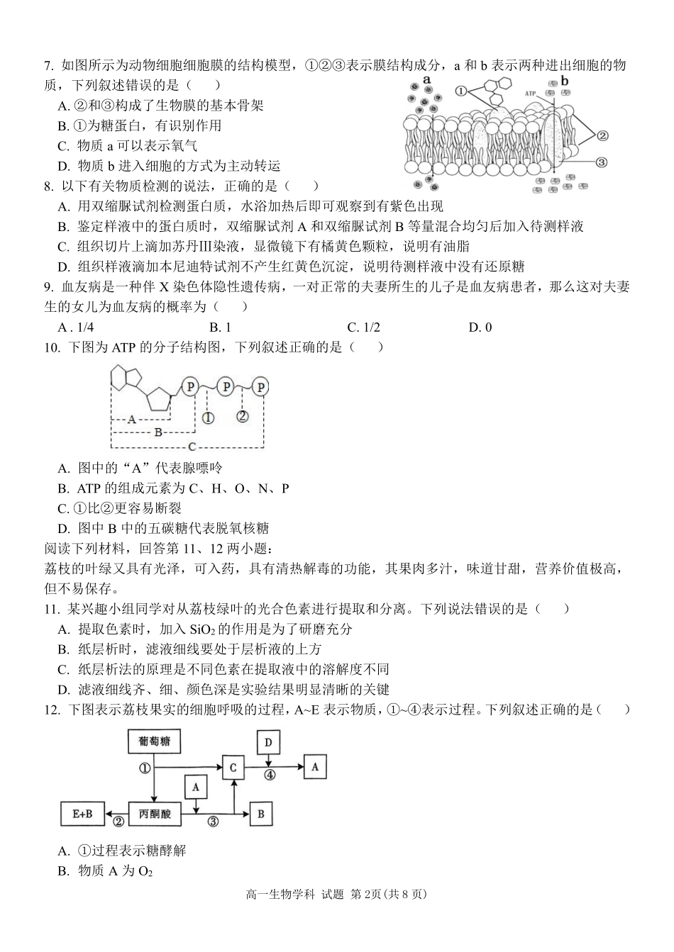 浙江省五湖联盟2024-2025学年高一下学期期中联考生物学试卷（含答案）.pdf_第2页