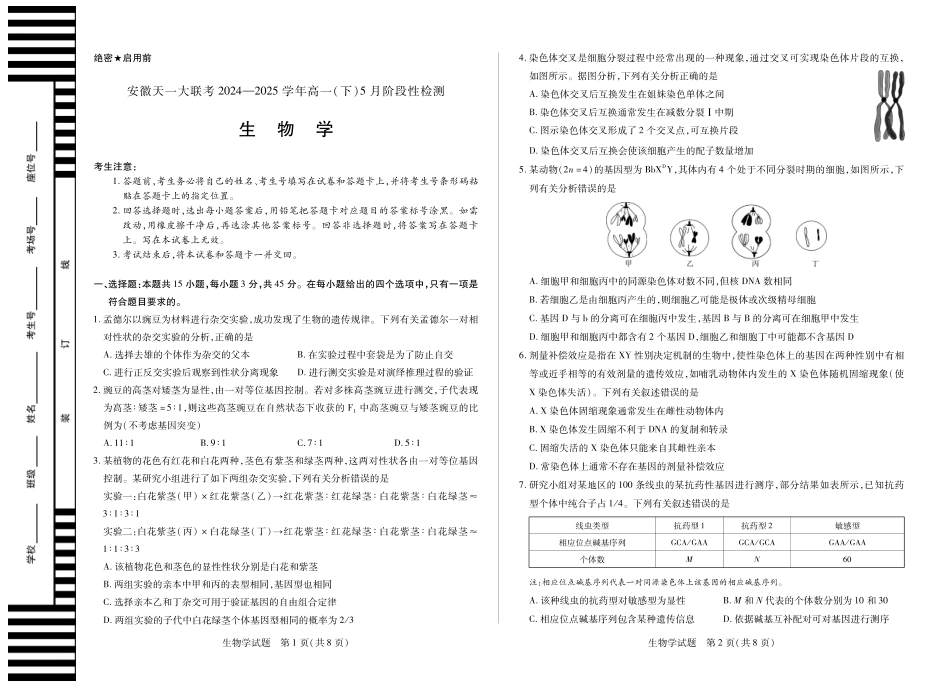 安徽省天一大联考2024-2025学年高一下学期5月阶段性测试生物试卷.pdf_第1页