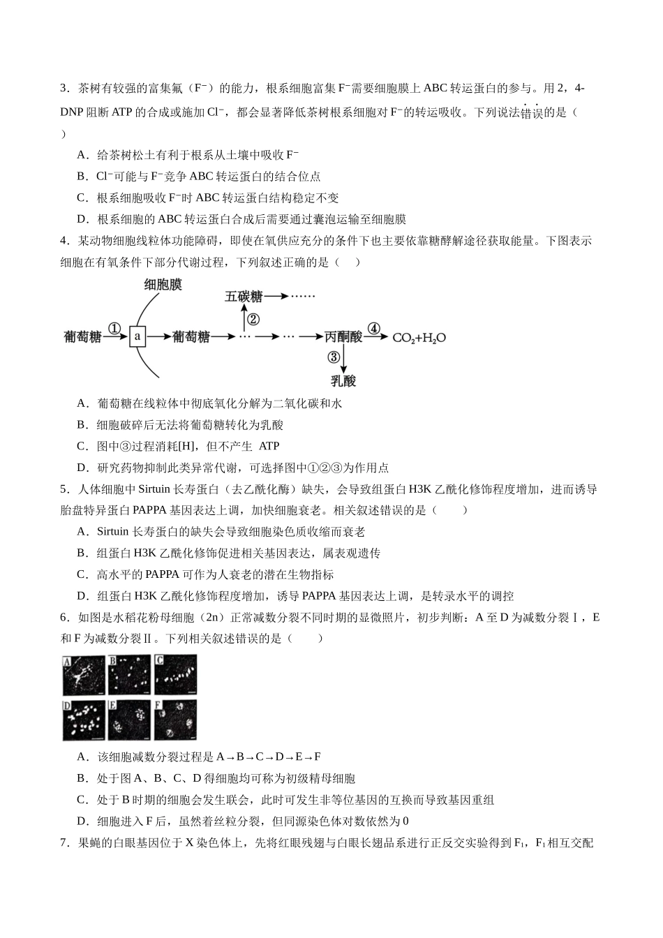 信息必刷卷01（广东专用）-2025年高考生物考前信息必刷卷（广东专用）（原卷版）.docx_第2页