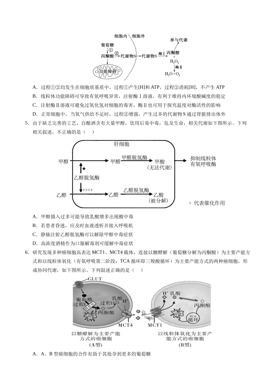 信息必刷卷01（新高考通用）原卷版-2025年高考生物考前信息必刷卷（新高考Ⅰ卷专用）.docx_第3页