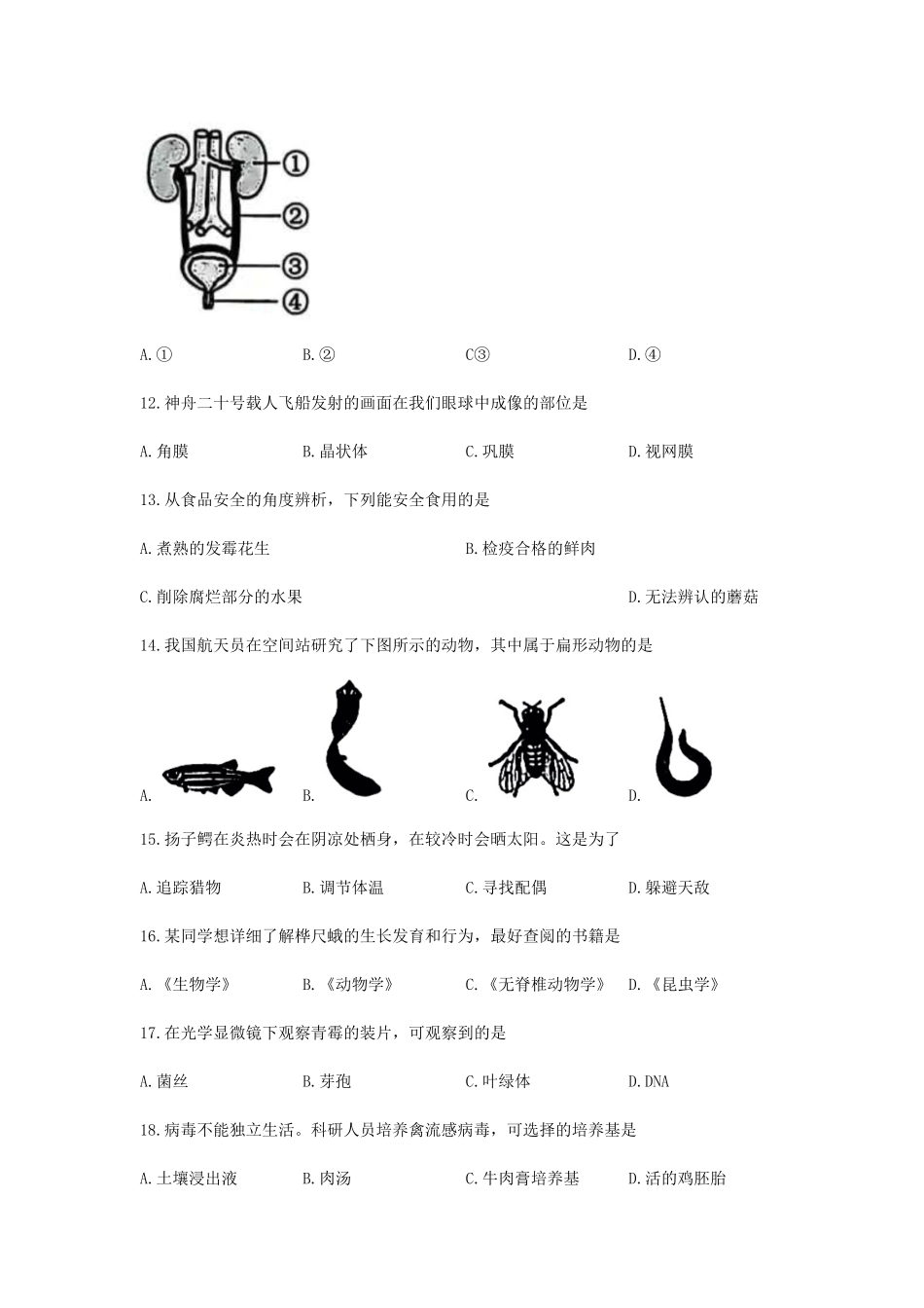 2025年湖南中考生物试题及答案.pdf_第3页