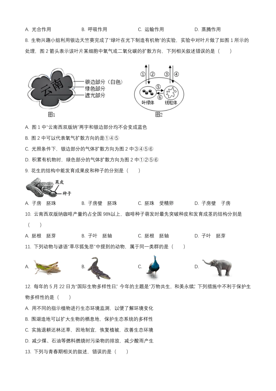 2025年云南西双版纳中考生物试题及答案.pdf_第2页