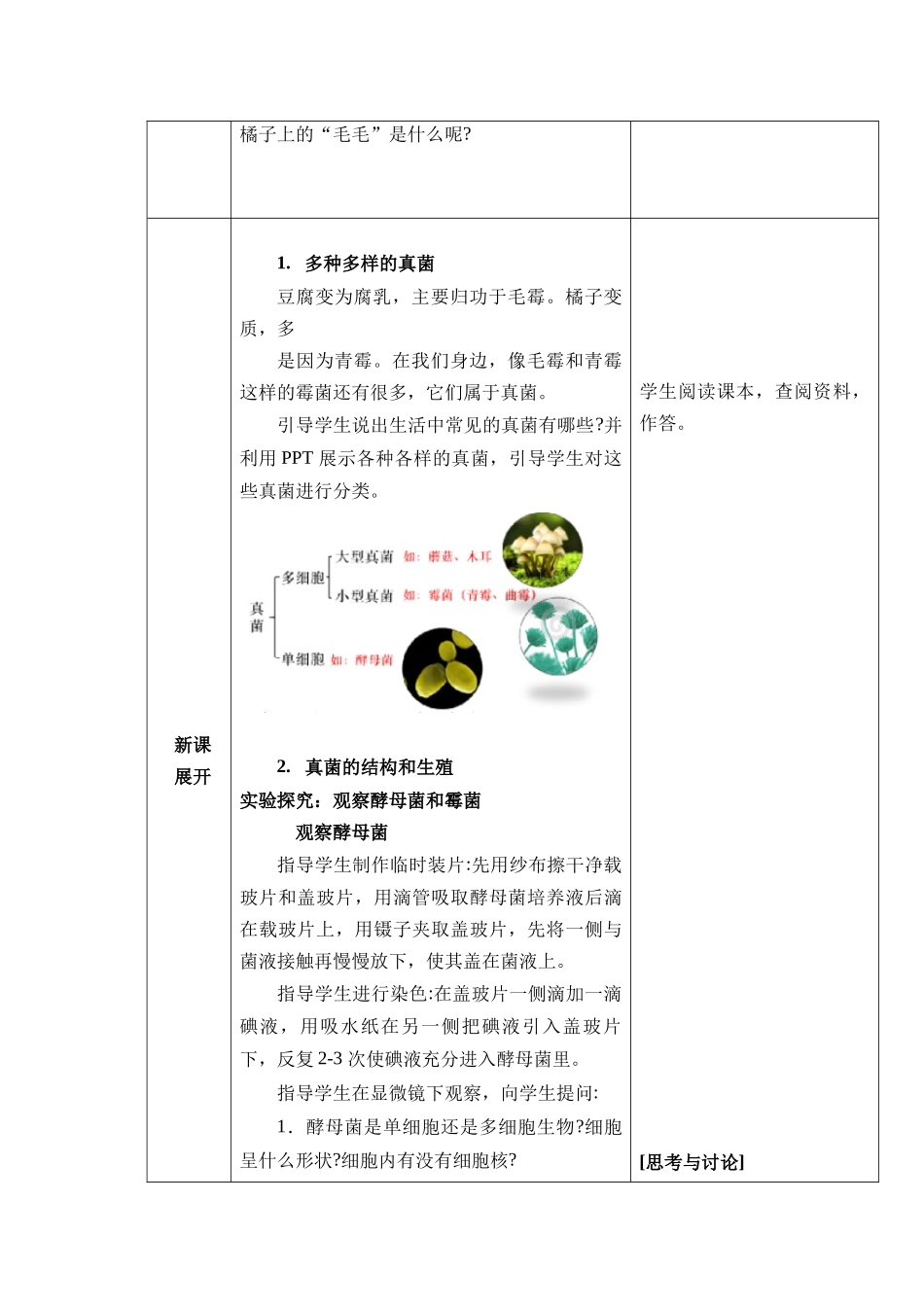 生物人教版（24新版本七年级初一初一上册2.3.3真菌教学教案含答案.docx_第2页