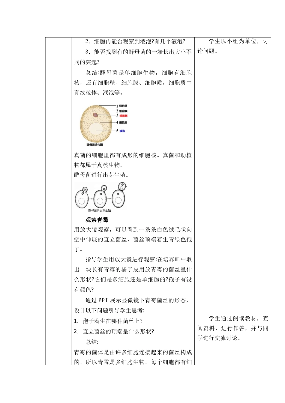 生物人教版（24新版本七年级初一初一上册2.3.3真菌教学教案含答案.docx_第3页