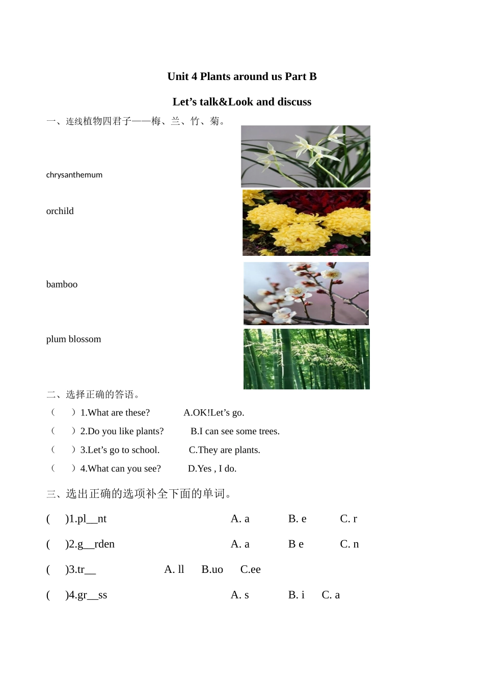 英语人教PEP版24新版本三年级上册Unit4PlantsaroundusPartB4教学教案.docx_第1页