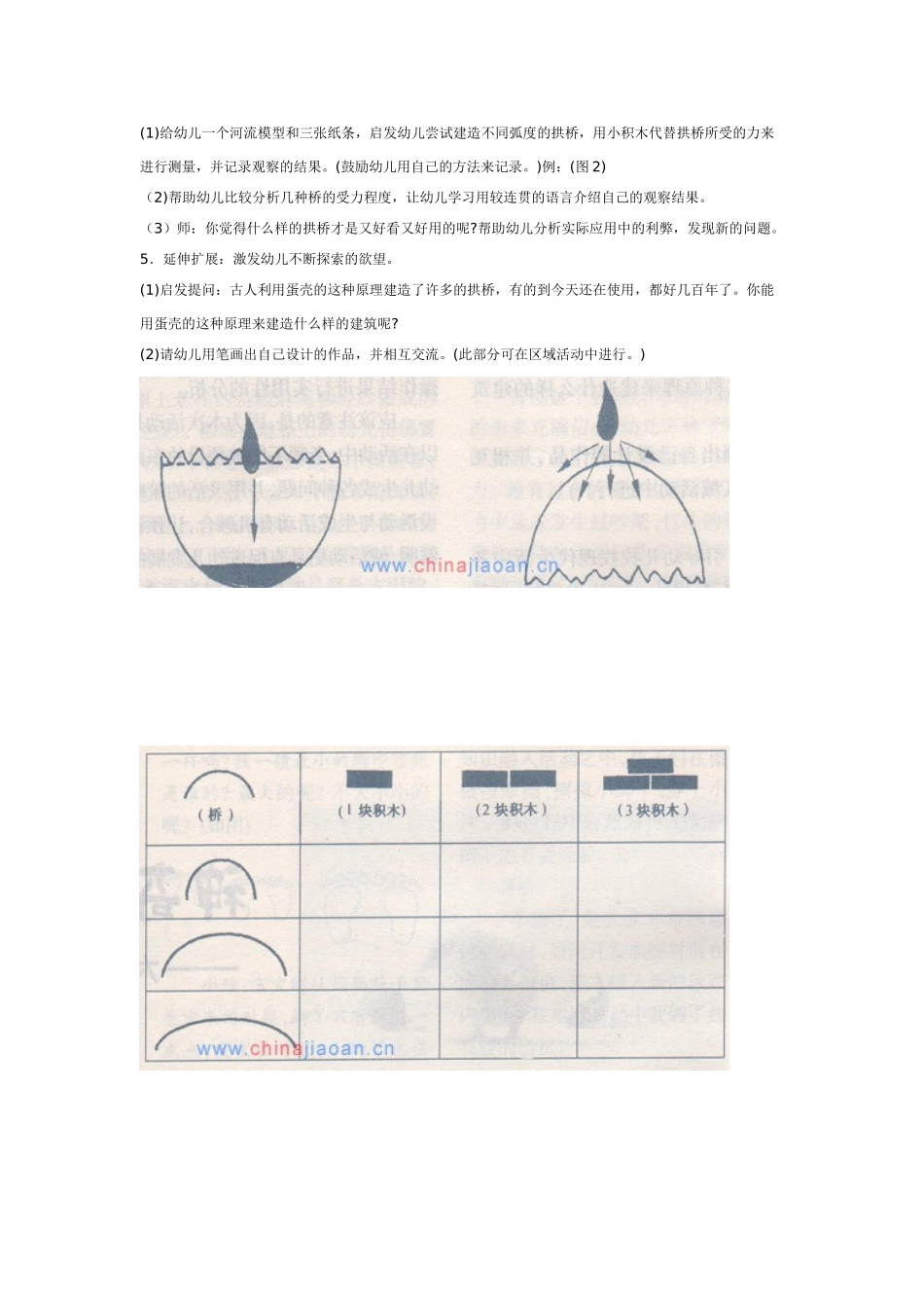 大班科学科学神奇的蛋壳教案.doc_第2页