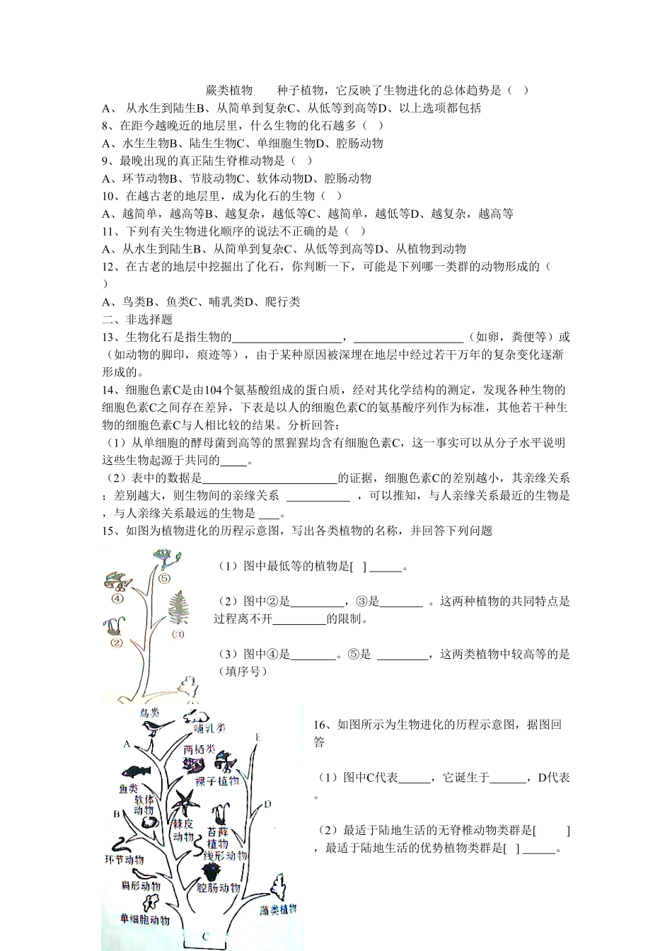 生物进化的历程同步学习2含答案.pdf_第2页
