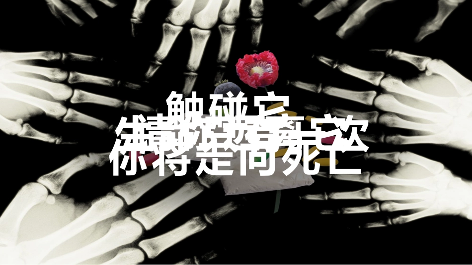 珍爱生命远离毒品禁毒教育16.pptx_第2页