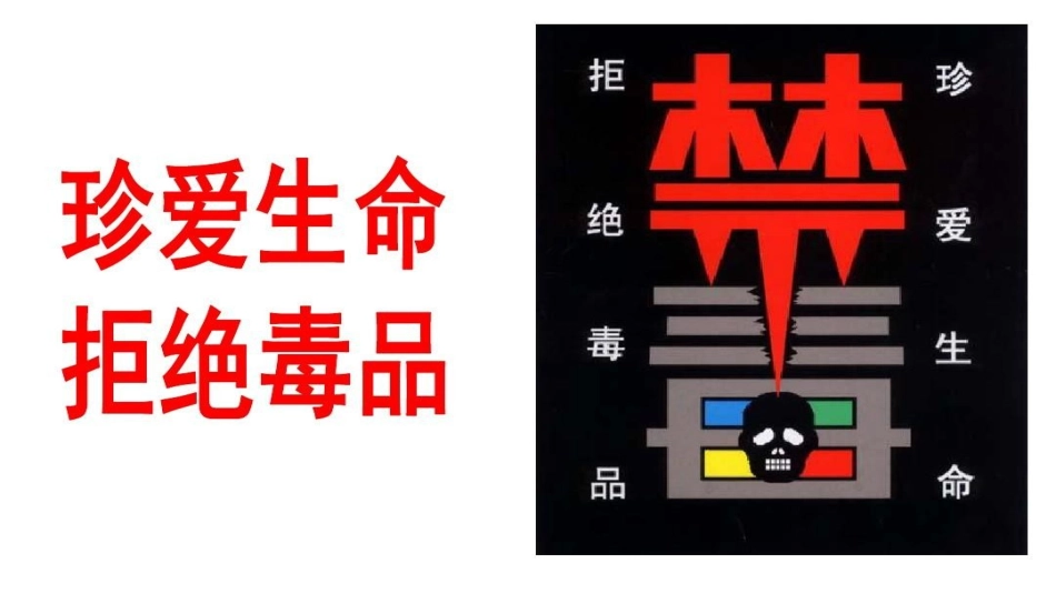 珍爱生命远离毒品禁毒教育16.pptx_第3页