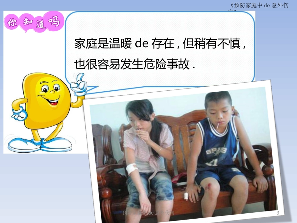 预防家庭中的意外伤害培训课件.pptx_第3页